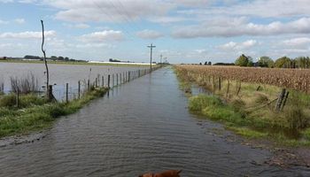 Hay casi 2,5 millones de hectáreas muy afectadas por el agua