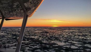 El drama del agua: postales de los campos anegados en Buenos Aires