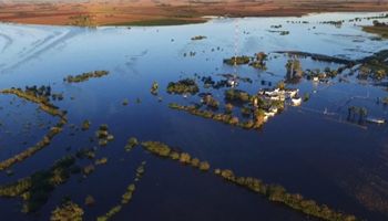 Finalizó la siembra de trigo y estiman un 34% de la superficie afectada por excesos
