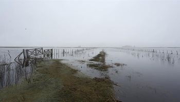 Historias detrás de las inundaciones: qué hacen los productores para no bajar los brazos