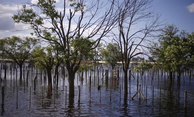 Quieren alertar por las emergencias en inundaciones.