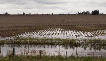 Inundaciones: "Este panorama es resultado de la ineficiencia del Estado"