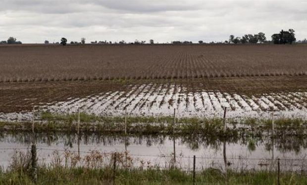 Comunicado de las Sociedades Rurales de Rafaela, Humberto Primo y Sunchales.