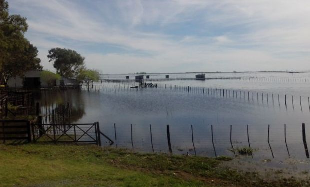 Scioli: "Tenemos prácticamente la mitad de la provincia inundada"