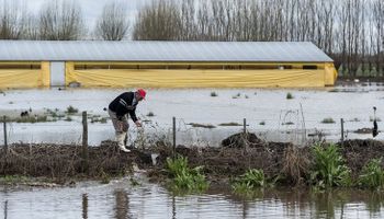 El Niño más fuerte de los últimos 100 años llega con la peor de las intenciones