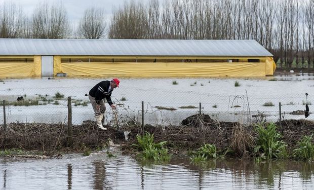 Un chacarero limpia una zanja para que escurra el agua de su establecimiento en Soldini, Santa Fe. Foto: Marcelo Manera.