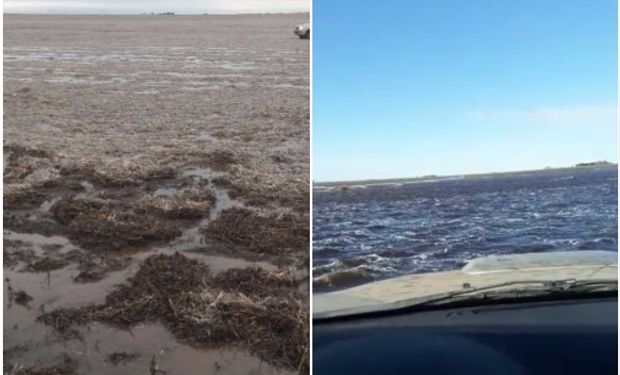 Izquierda: rastrojo de girasol en la zona de Martín Fierro. Derecha: mismo lote tres días después totalmente anegado.