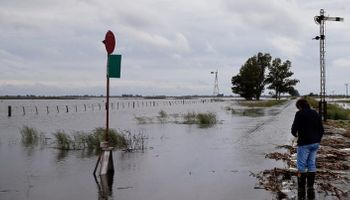 Se retrasa un 50% la siembra de soja en la zona núcleo