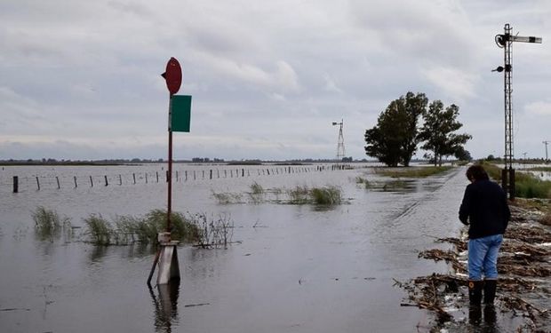El agua avanza en los campos de General Villegas. Foto: Diego Lima