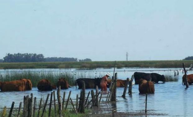 La producción santafesina está en situación de crisis profunda en todas sus actividades.