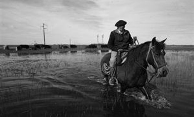 Bajo el agua, en Dolores se quejan por la falta de obras