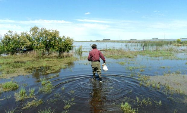 El certificado de emergencia o desastre agropecuario es una alternativa que puede contemplarse como paliativo de acontecimientos que repercuten en el rendimiento de la producción.