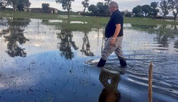 Videos que reflejan las graves inundaciones en Santa Fe y Chaco