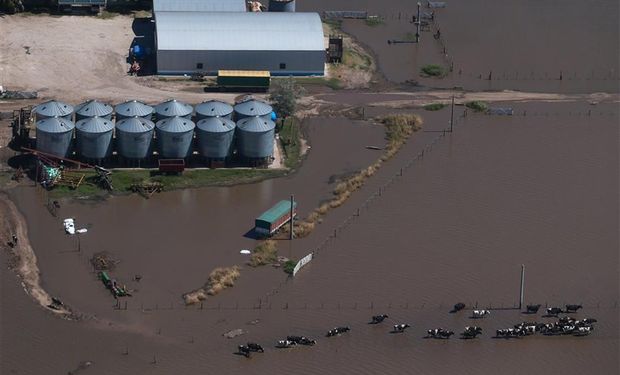 Un tambo en cercanías de Marcos Juárez, Córdoba, cercado por el agua.Foto: La Nación/Diego Lima.