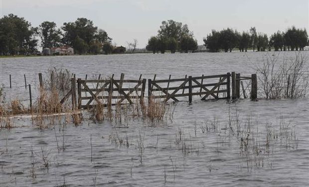 Para todos. En esta campaña hubo desde inundaciones, pasando por sequía, hasta incendios forestales en los campos argentinos.