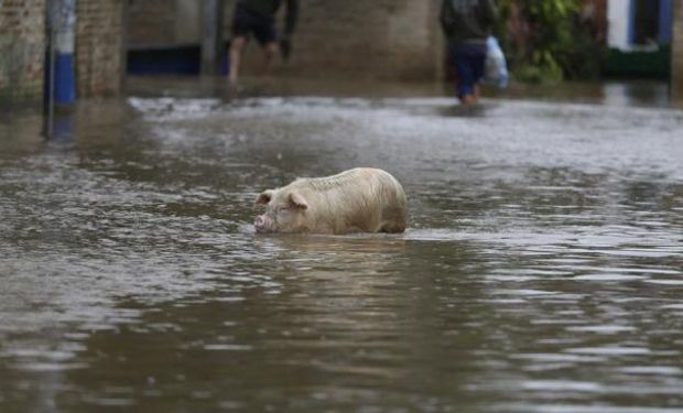 Piden que se declare el estado de emergencia agropecuaria