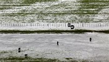 Desolador panorama en distritos bonaerenses por las inundaciones