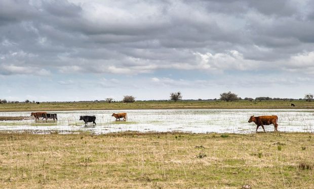 El Senasa cerca de los productores.