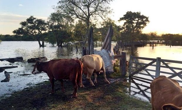 Un beneficio para las zonas de emergencia. Foto: La Nación