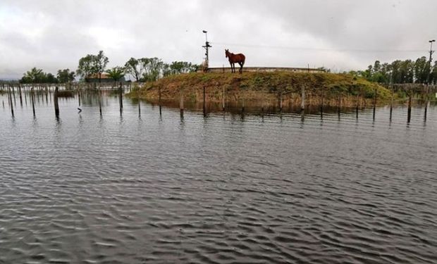 Villegas sufre inundaciones desde hace 15 meses.