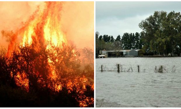 La peligrosidad de incendios en el norte de la Patagonia, La Pampa y sur de Buenos Aires se estima alta en las próximas 72 horas.