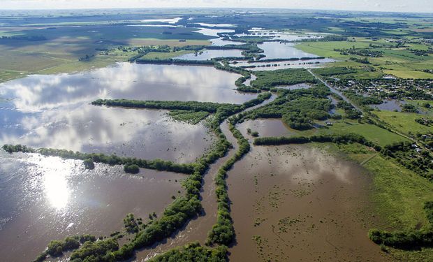Alerta: millones de hectáreas quedaron fuera de producción en plena campaña gruesa