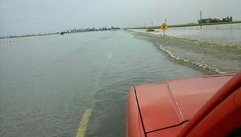 Prorrogan por 180 días la Emergencia Agropecuaria
