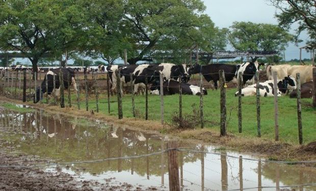 Se sumaron otras mujeres tamberas que en medio del desastre y la crisis de las inundaciones asumen un rol protagónico.