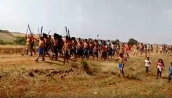 Indígenas invadem propriedades no Paraná após decisão do STF