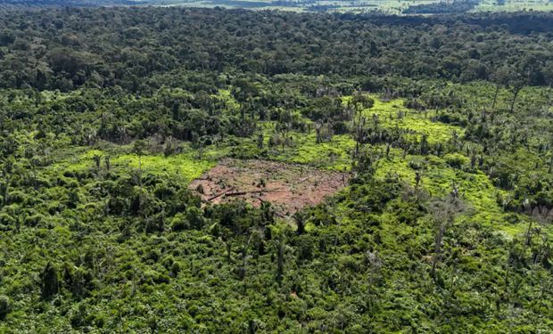 CNA defende que o produtor rural brasileiro trabalhe com tranquilidade e segurança jurídica.