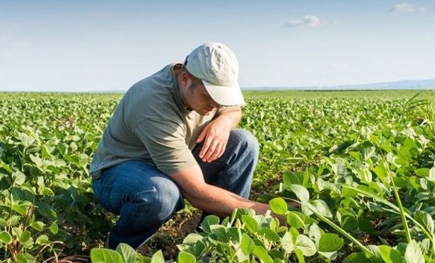 Entre Ríos: productores dieron inicio al ciclo agrícola 2017/18.