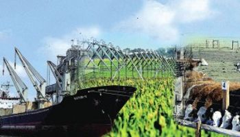 China destina u$s1.500 millones para proyectos de agroindustria