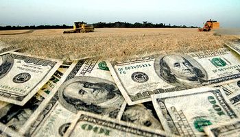 Prevén que la inversión agropecuaria en el país será de u$s 50.000 millones