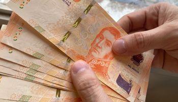 ¿En qué invertir los pesos? La mejor opción depende si sos conservador, moderado o agresivo