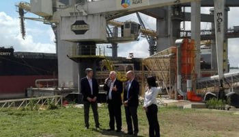 Crece un gran brote verde de $ 21.000 millones