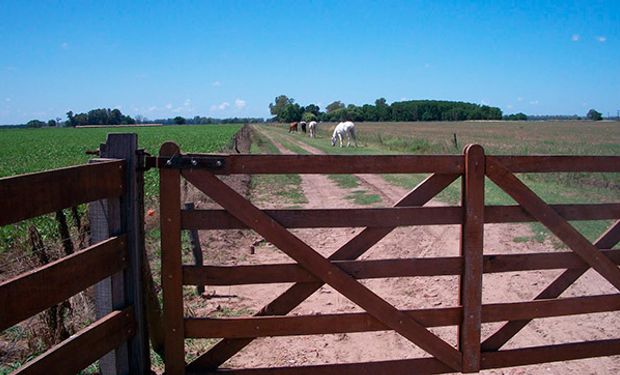 Trabas para ingresar al blanqueo postergan inversiones en campos.