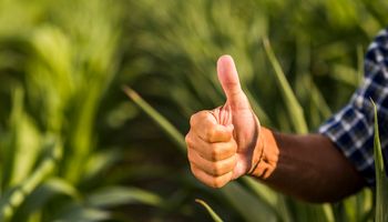 Crece el interés por invertir en economía real, incluido el agro: "Parecen terminarse determinados negocios financieros o de carry trade”