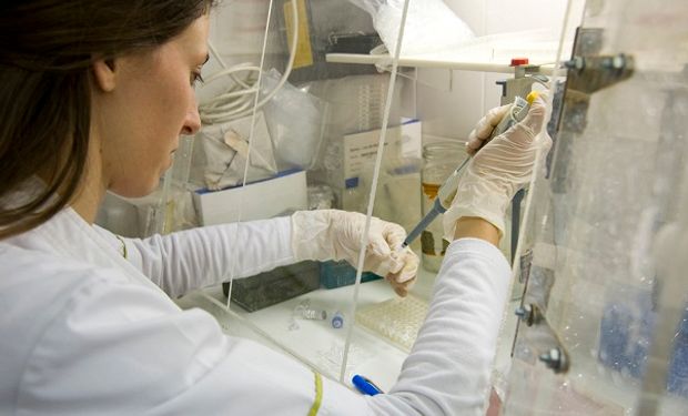 Incorporación de las licenciaturas en Alimentos, Microbiología, Bromatología.