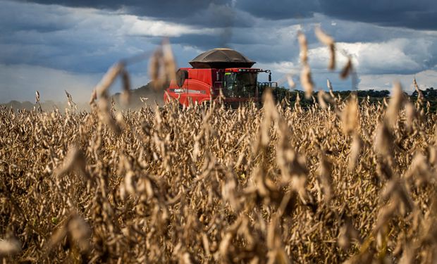 Juros altos derrubam investimentos do agro em 28% na safra 2025/26