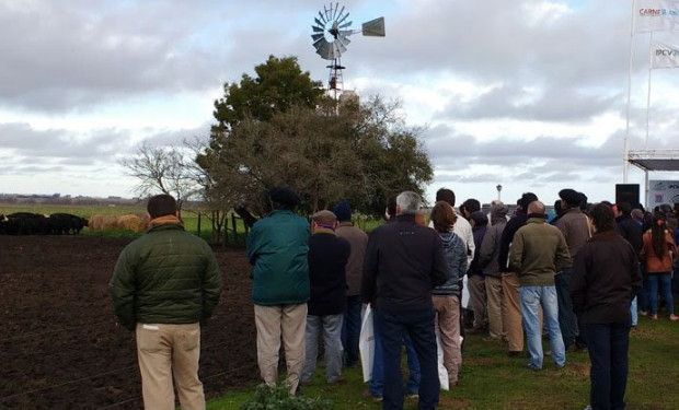 "El feedlot hoy en la Argentina, abastecer el mercado interno y exportar"