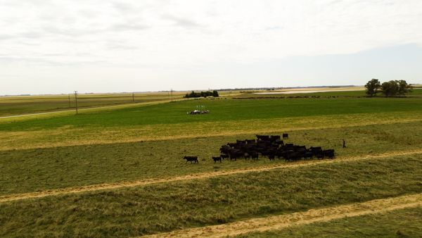 estancia la maria luisa tres arroyos