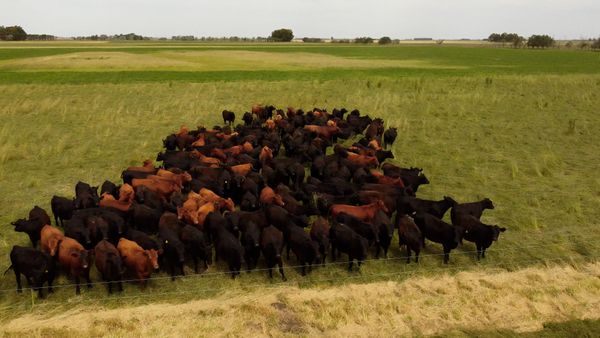 la maria luisa tres arroyos