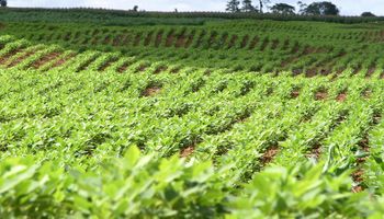 Ipea eleva previsão de crescimento do PIB do agro 2023 para 11,6% 
