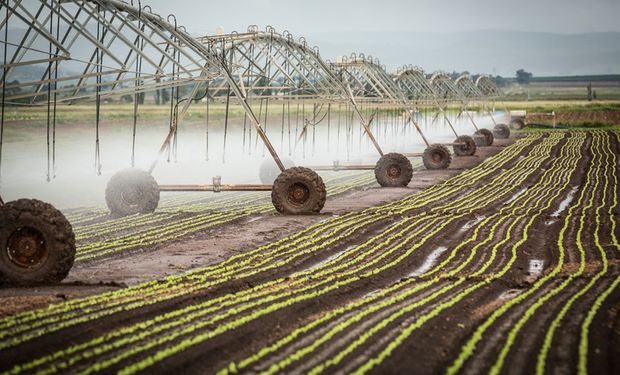 Em 2020, a irrigação cresceu 19% em relação ao ano anterior, com mais 250 mil hectares irrigados. (foto - Getty Image)