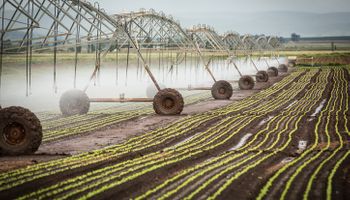 Programa do governo visa baratear projetos de irrigação em milhões de reais