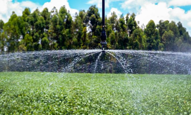 Bahia terá novo projeto de irrigação com potencial de gerar mais de 185 mil empregos
