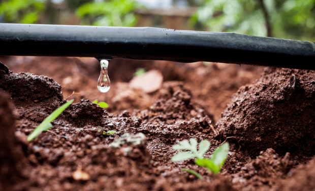 O Brasil irriga atualmente entre 9,2 e 9,5 milhões de hectares de lavouras, cerca de 11% da área agrícola do país. (foto - divulgação)