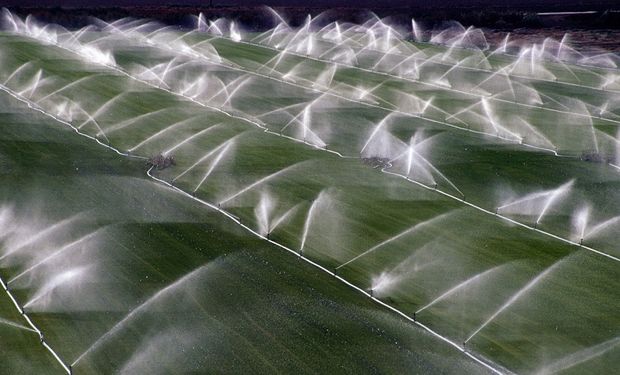 Irrigação teria contribuído para elevar o nível dos oceanos em 6 mm em 17 anos, o que deslocaria o Polo Norte. (foto - divulgação)