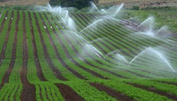 Rio Grande do Sul destina R$ 213 milhões para projetos de irrigação