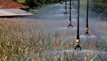 Governo do RS destina cerca de R$ 100 milhões em irrigação para produtores